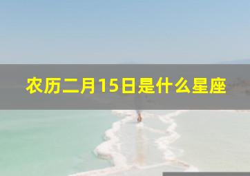 农历二月15日是什么星座