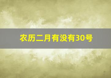 农历二月有没有30号