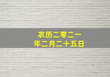 农历二零二一年二月二十五日