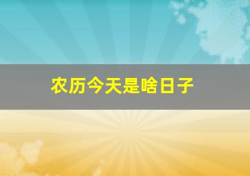 农历今天是啥日子