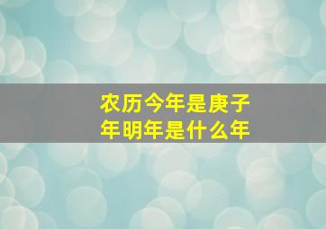 农历今年是庚子年明年是什么年