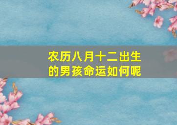 农历八月十二出生的男孩命运如何呢