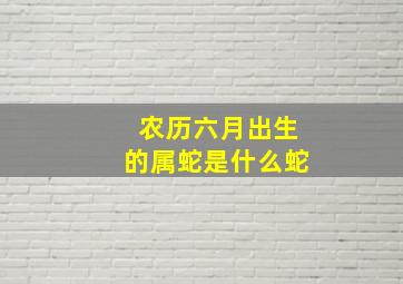 农历六月出生的属蛇是什么蛇