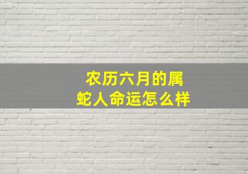 农历六月的属蛇人命运怎么样