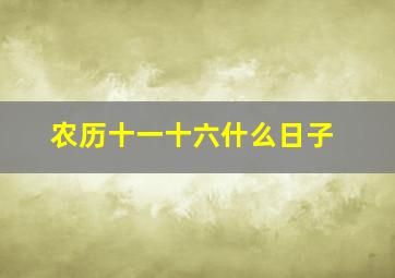 农历十一十六什么日子