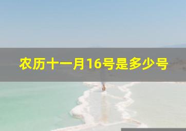 农历十一月16号是多少号