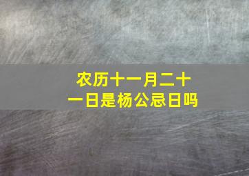 农历十一月二十一日是杨公忌日吗