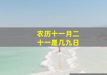 农历十一月二十一是几九日