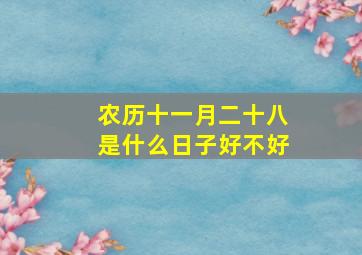 农历十一月二十八是什么日子好不好