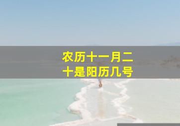 农历十一月二十是阳历几号