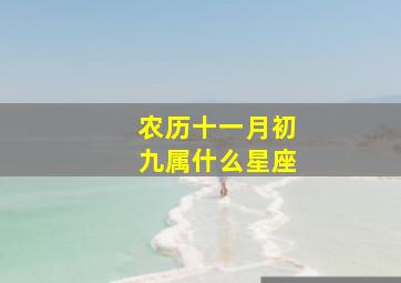 农历十一月初九属什么星座