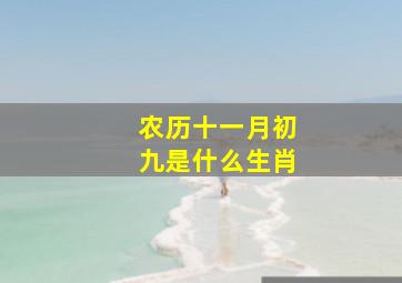 农历十一月初九是什么生肖