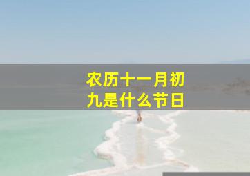 农历十一月初九是什么节日