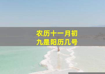 农历十一月初九是阳历几号