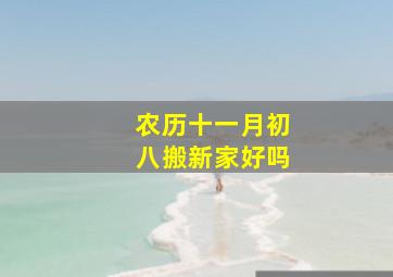 农历十一月初八搬新家好吗