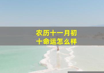 农历十一月初十命运怎么样