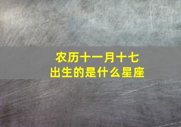 农历十一月十七出生的是什么星座