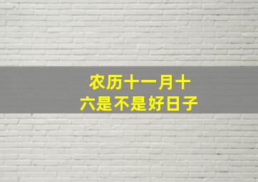 农历十一月十六是不是好日子