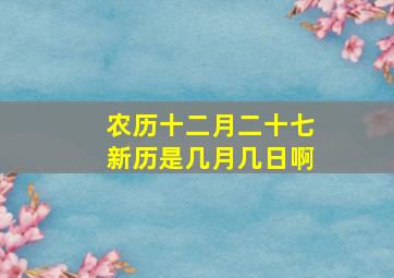 农历十二月二十七新历是几月几日啊