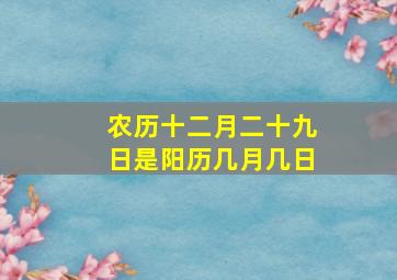 农历十二月二十九日是阳历几月几日