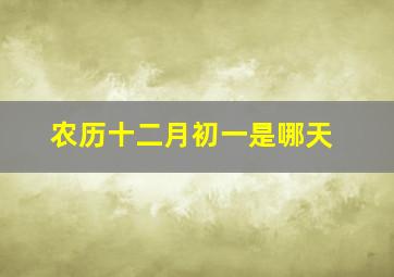 农历十二月初一是哪天