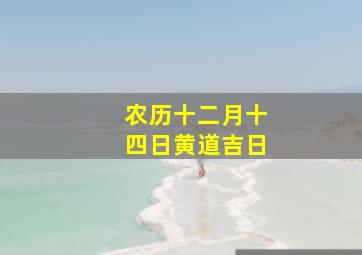 农历十二月十四日黄道吉日