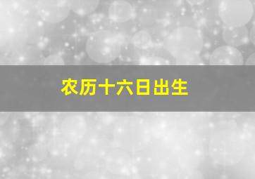 农历十六日出生