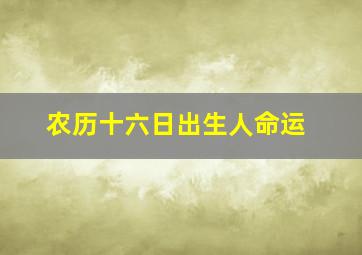 农历十六日出生人命运