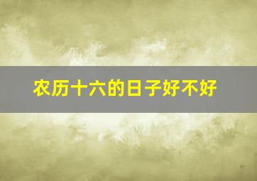 农历十六的日子好不好