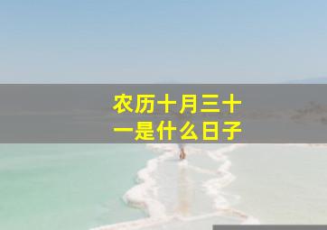 农历十月三十一是什么日子