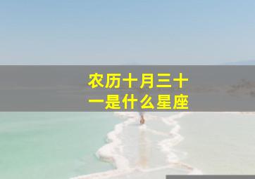 农历十月三十一是什么星座