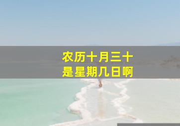 农历十月三十是星期几日啊