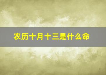 农历十月十三是什么命