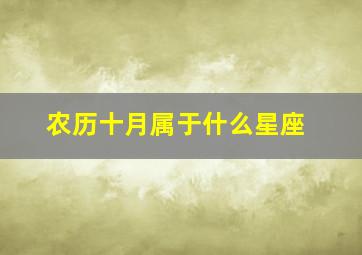 农历十月属于什么星座