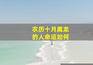 农历十月属龙的人命运如何