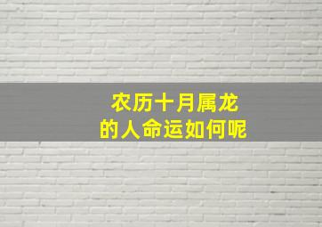 农历十月属龙的人命运如何呢