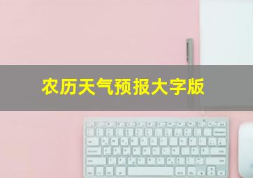 农历天气预报大字版