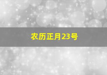 农历正月23号