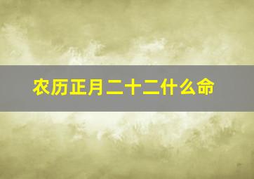 农历正月二十二什么命