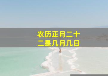 农历正月二十二是几月几日