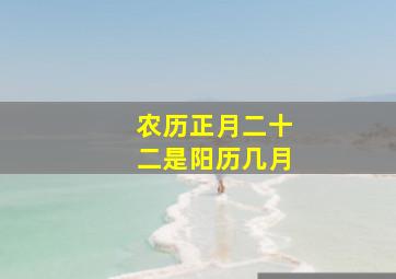 农历正月二十二是阳历几月