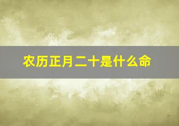 农历正月二十是什么命