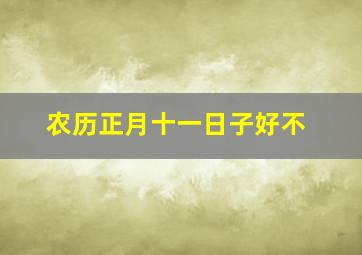 农历正月十一日子好不