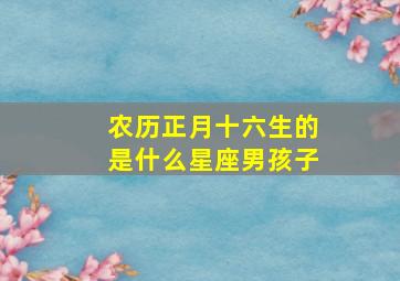 农历正月十六生的是什么星座男孩子