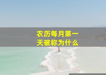 农历每月第一天被称为什么