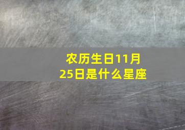 农历生日11月25日是什么星座