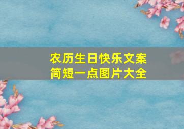 农历生日快乐文案简短一点图片大全