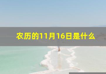 农历的11月16日是什么