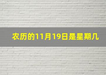 农历的11月19日是星期几