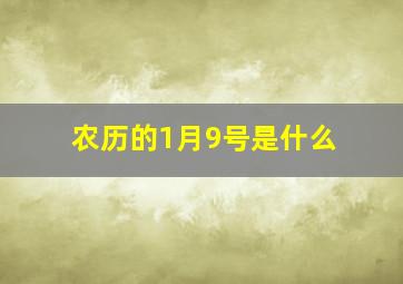 农历的1月9号是什么